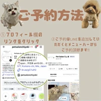 画像2509