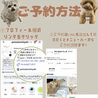画像2528
