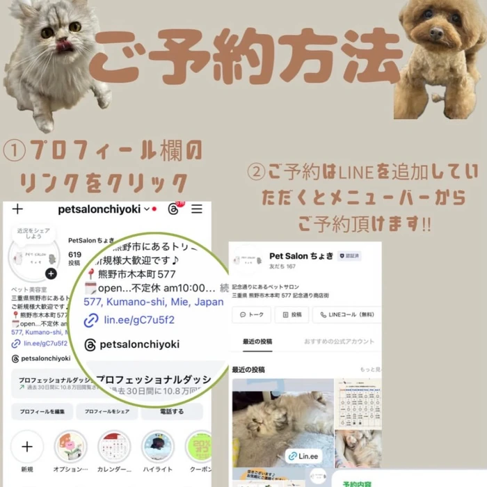画像2528