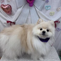 画像2530