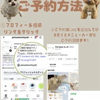 画像2532