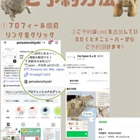 画像2554