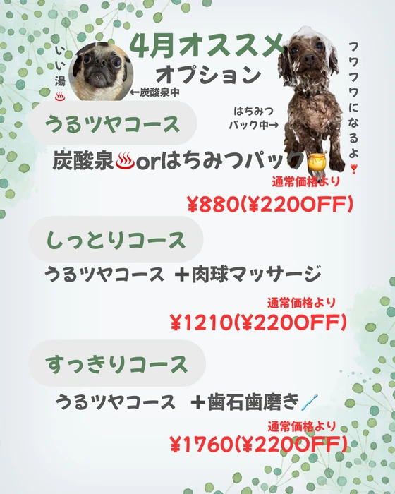 画像2570