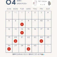 画像2584