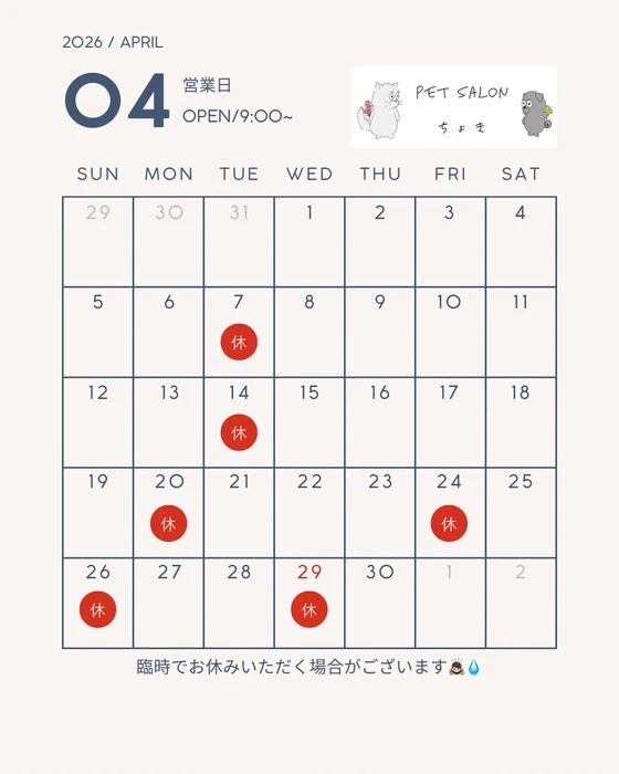 画像2584