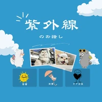 画像2586