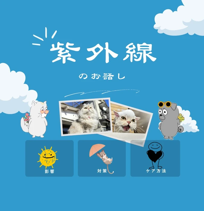 画像2586