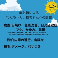 画像2587