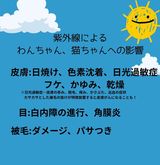 画像2587