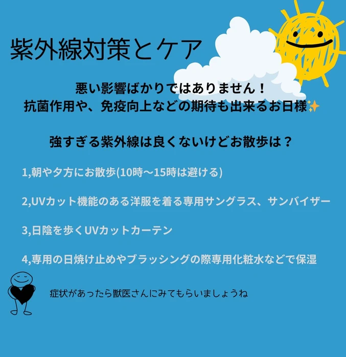 画像2588