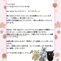 画像2590