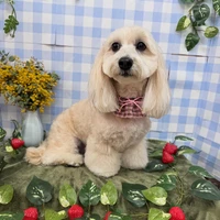 画像2604