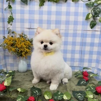 画像2616