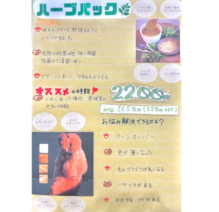 画像2783