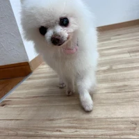 画像287