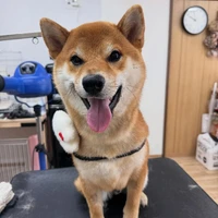 画像2876