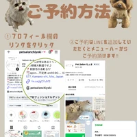 画像2891
