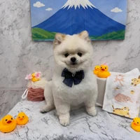 画像2896