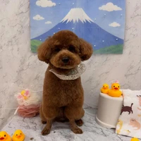 画像2911