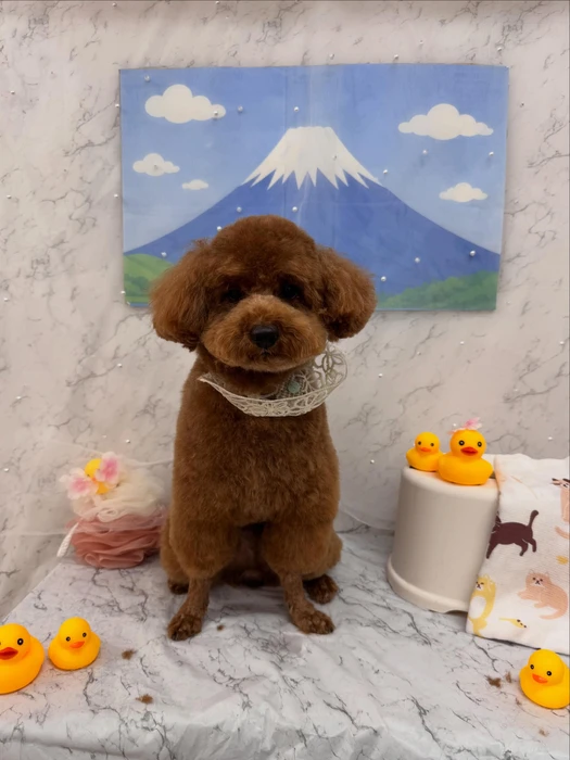 画像2911
