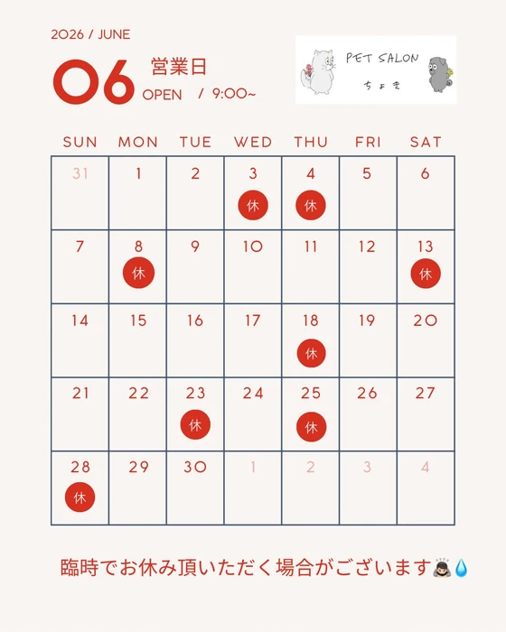 画像2914