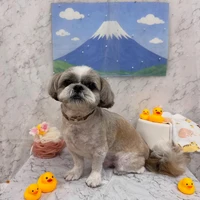 画像2922