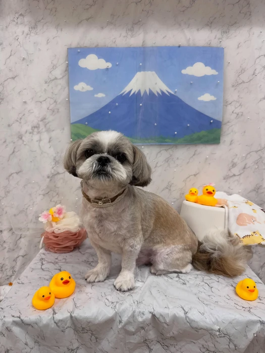 画像2922