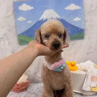 画像2928