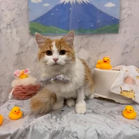 画像2935