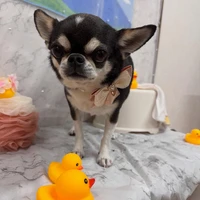 画像2938
