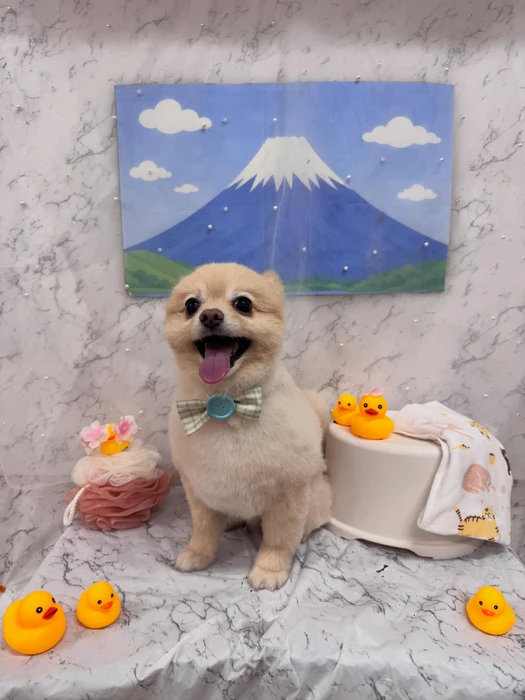 画像2944
