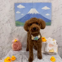 画像2950