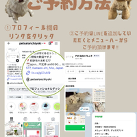 画像2959