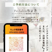画像2975