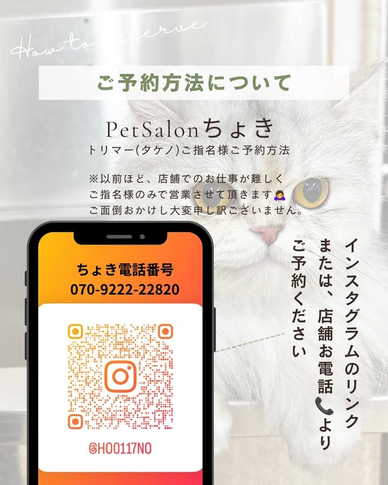 画像2975