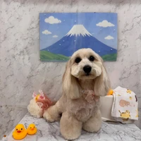 画像2977
