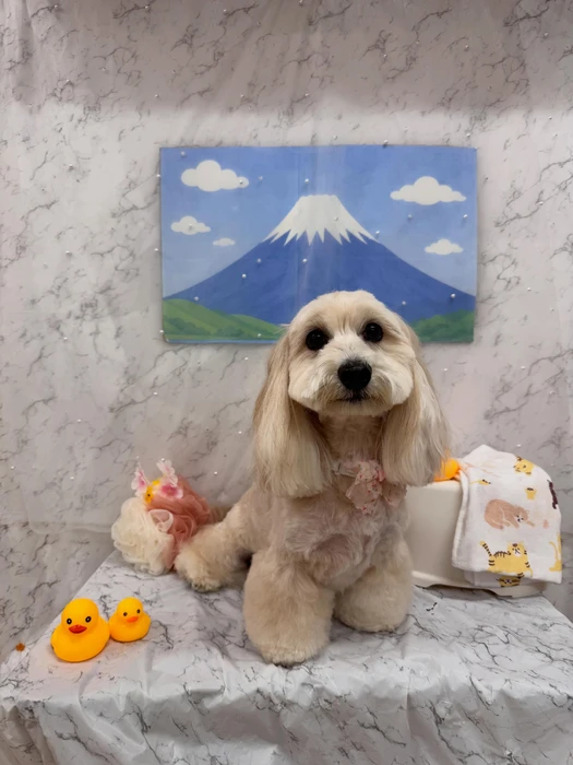 画像2977
