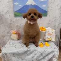画像2980