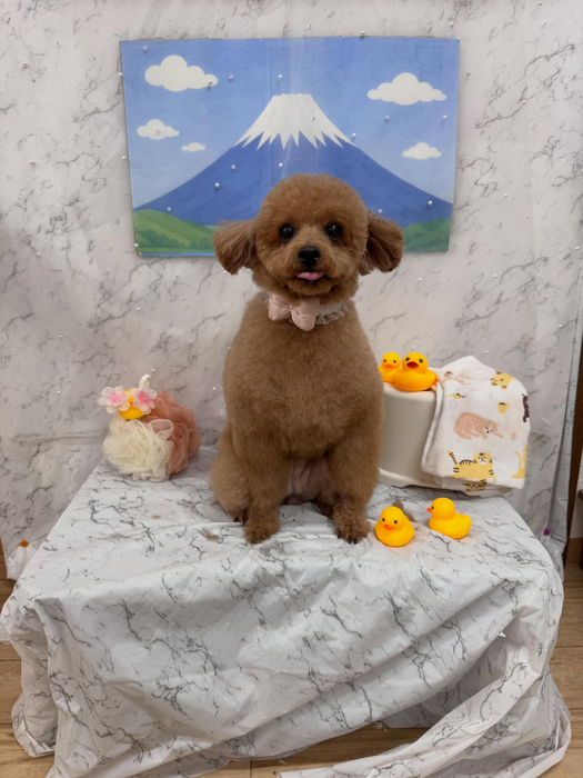 画像2980