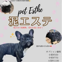画像300