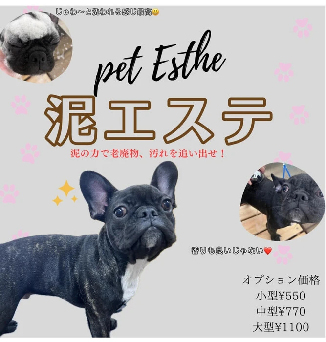 画像300
