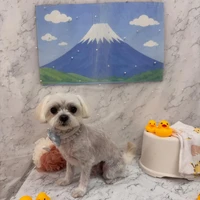 画像3007