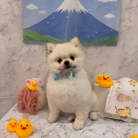 画像3020