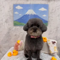 画像3024