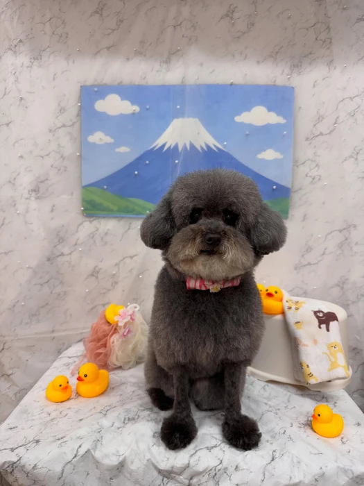 画像3024