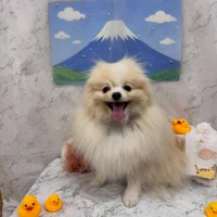 画像3069