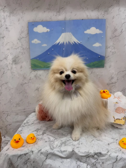 画像3069