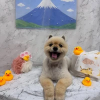 画像3079