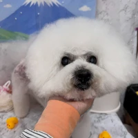 画像3090