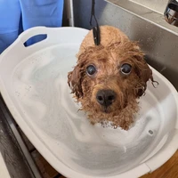 画像3121